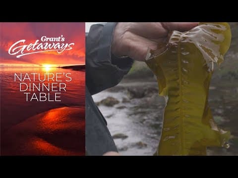 Venture out to the coast for a taste of Oregon's wild edibles