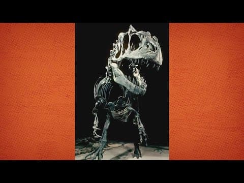 Smithsonian's Allosaurus fossil named type specimen for entire species