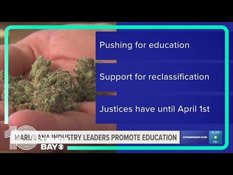 Marijuana industry leaders push for education about recreational marijuana
