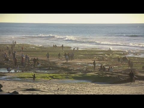 Tide pool dos and don'ts