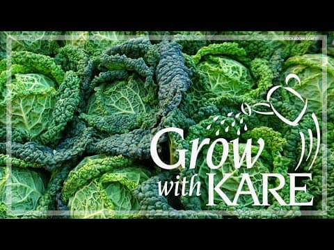Grow with KARE: What to plant in July