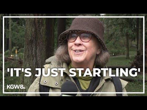 30 large, downed trees cause damage at Portland's Mt. Tabor park