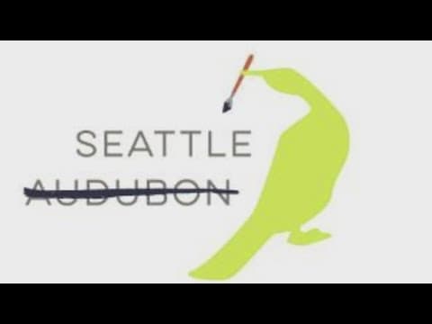 Seattle Audubon is changing its name