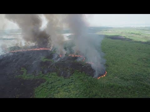 Firefighters continue battle against Bayou Sauvage blaze