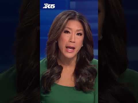 Hit-and-run driver runs into building, causes fire in Seattle