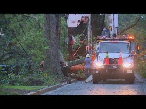Fallen trees damage 10 homes in Northwest