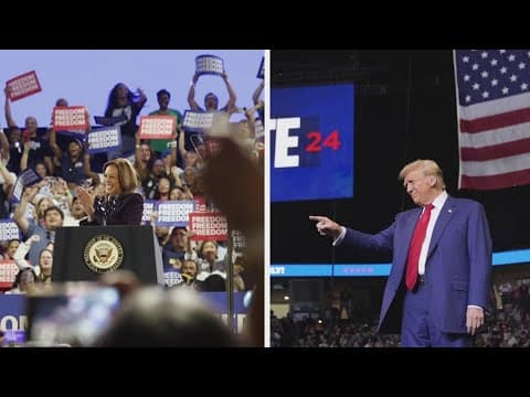 Donald Trump wins presidential race: analyzing election results