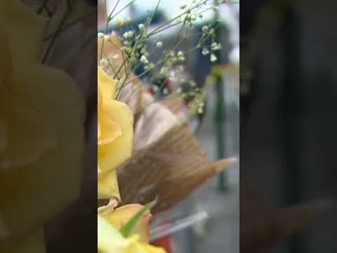 Body found inside historic Bellingham building after fire #shorts