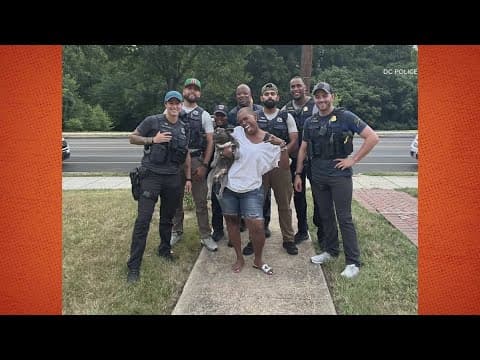 Bulldog rescued by DC Police