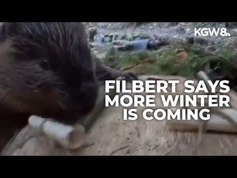 Filbert the Beaver forecasts 6 more weeks of winter for Groundhog Day