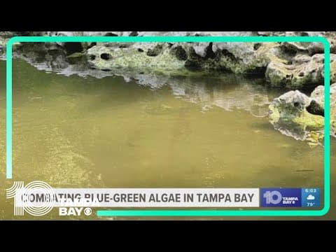 Experts share methods on combatting Blue-green algae