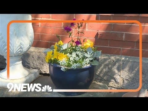 Proctor's Garden: Is it ok to plant annuals now?