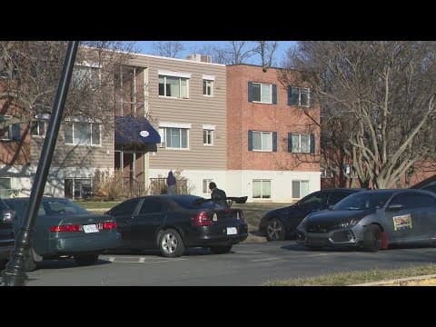 Stabbing leaves Annandale teen dead