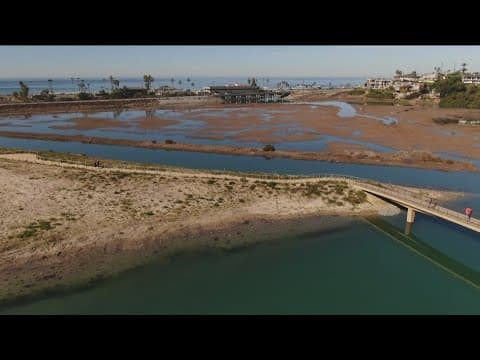Wildlife at risk as sand threatens San Dieguito Lagoon