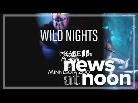 Wild Nights come to Minnesota Zoo