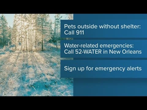 Report animals caught outside without a shelter