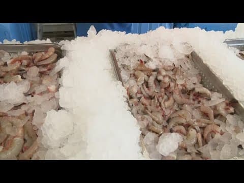 Galveston shrimpers hope tariffs will help them stay in business