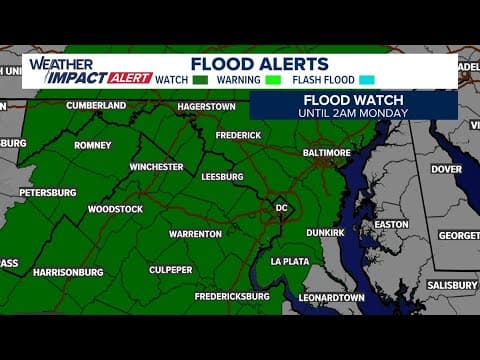 Weather Impact Alert: Afternoon storms bring potential for flooding in DC region | Live Radar
