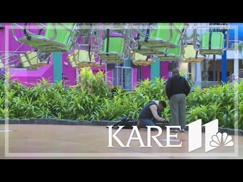Mall of America celebrated Earth Day with biggest-ever ladybug release