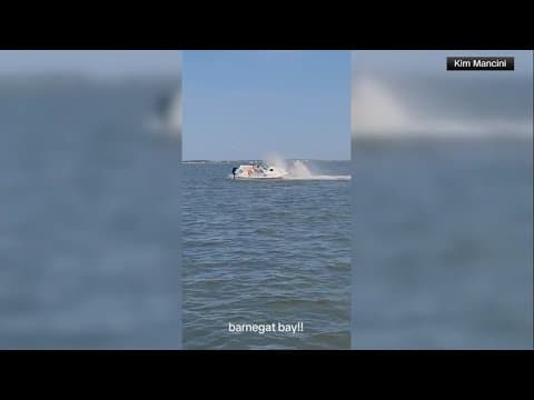 Whale dies after collision with small boat off New Jersey shore