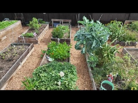 Salk Institute and its efforts to make plants able to cope  with climate change