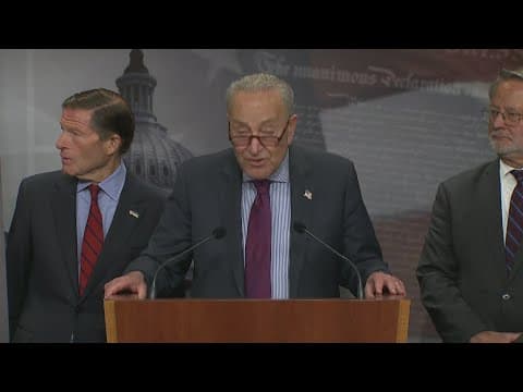 Democrats push for Epstein file release