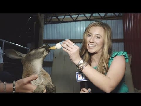 Come meet Rosie the Kangaroo at Mitchell's Petting Zoo!