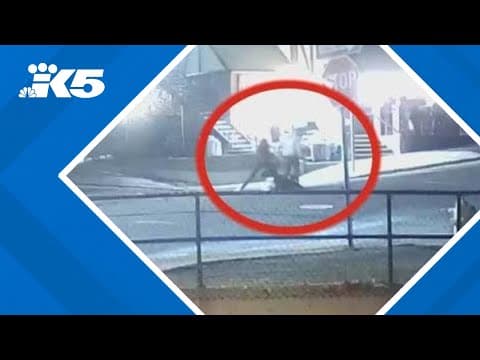 WSU instructor accused of attacking student for wearing Trump hat