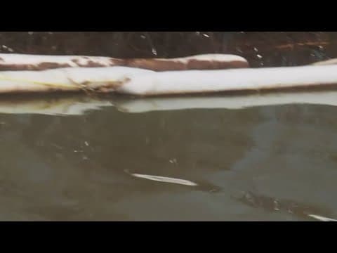 Crews battle oil spill in Plaquemines Parish