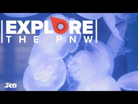 Underwater scenes at Des Moines’ MaST Center Aquarium