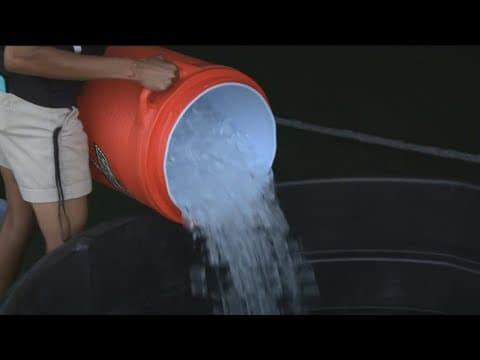 Unusual tips to help you stay cool during this record breaking heatwave