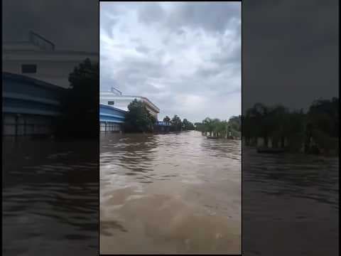 Flooding in Brazil kills at least 83 people