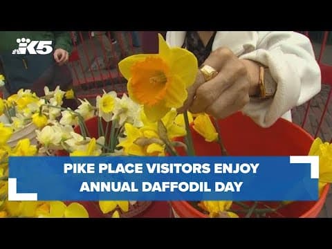 Pike Place Market visitors enjoy annual 'Daffodil Day'
