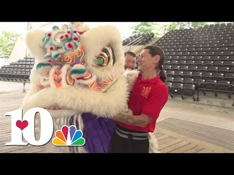 Lion dancing and much more at the 10th Knox Asian Fest
