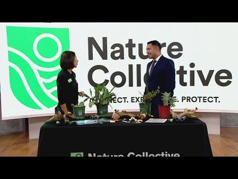 Nature Collective to host family-friendly Fall Festival | Oct. 19