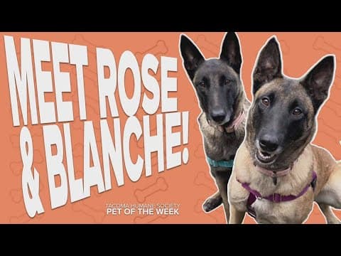 Pet Rescue of the Week: Blanche and Rose