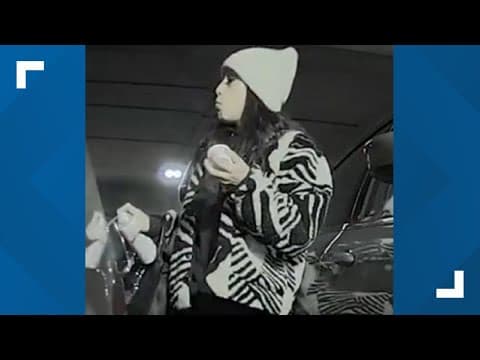 Vandal spray paints dozens of cars in downtown Indianapolis garage