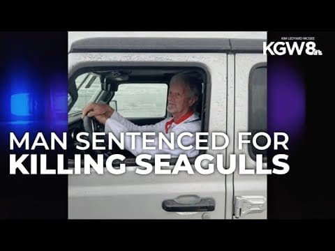 Man sentenced for killing flock of seagulls on Washington beach