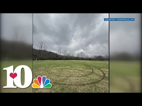 Lakeshore Park saw rise in vandalism in 2024 amidst record visitors