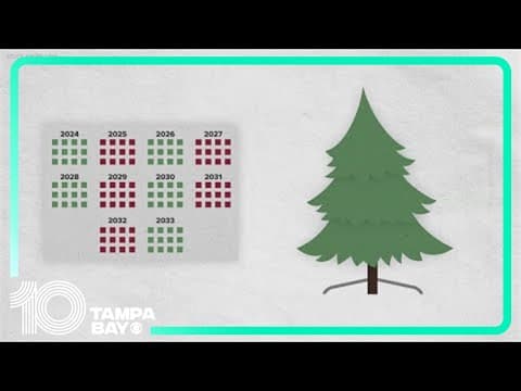 Real vs. artificial Christmas trees: Which is more environmentally friendly?