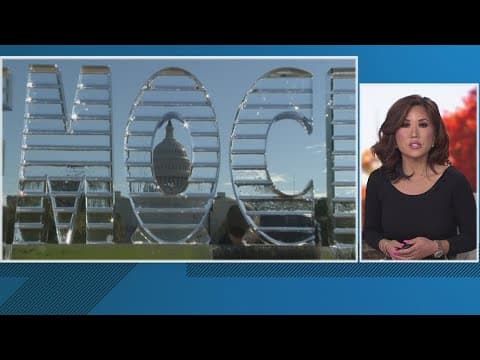 'DEMOCRACY' etched in ice on National Mall is meant to send warning, nonprofit says