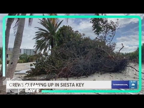 Palm trees in the living room: Siesta Key residents clean up debris after hurricane