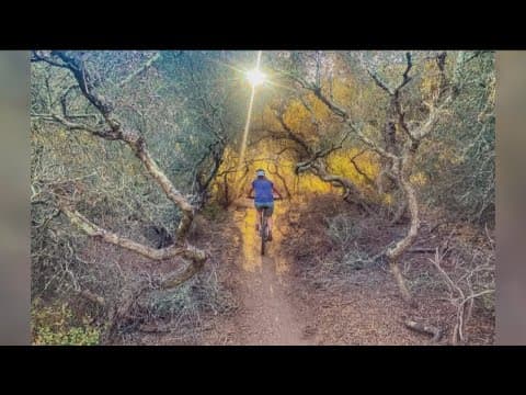 Del Mar Mesa Preserve tree tunnel trails vandalized