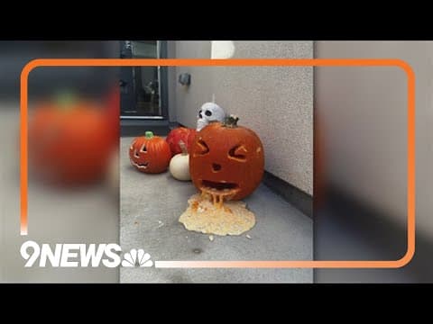 Kitchen Table Talk: Is it too early to start decorating for Halloween?