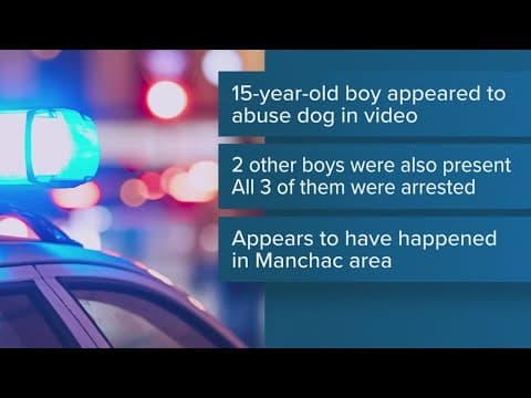 3 Louisiana teens arrested over viral dog abuse video