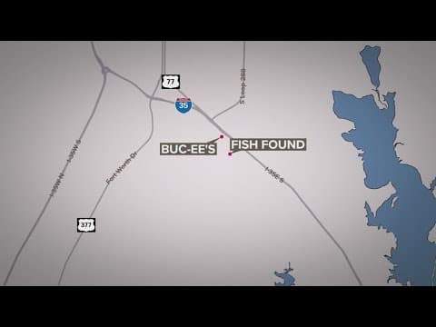 Dead fish reported in Denton's Unicorn Lake