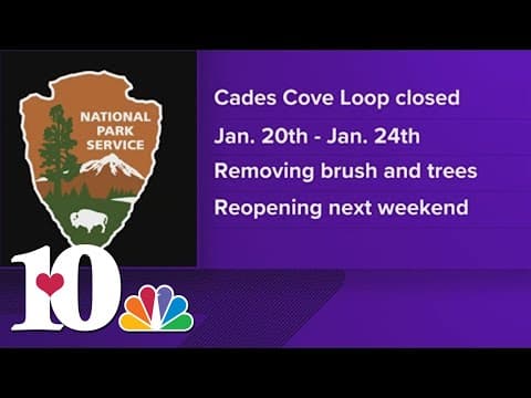 Cades Cove to close for tree removal in Great Smoky Mountains