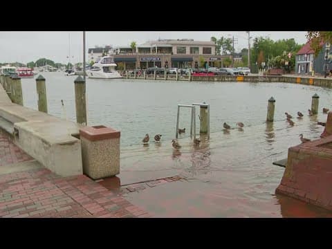 Power outages, tidal flooding : Here's the latest on Debby's impact in the DMV