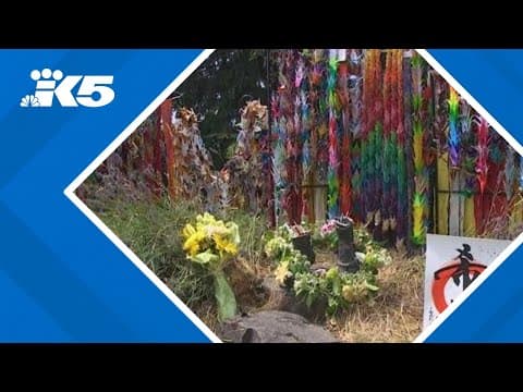 Seattle community members raise awareness of missing Sadako Sasaki statue