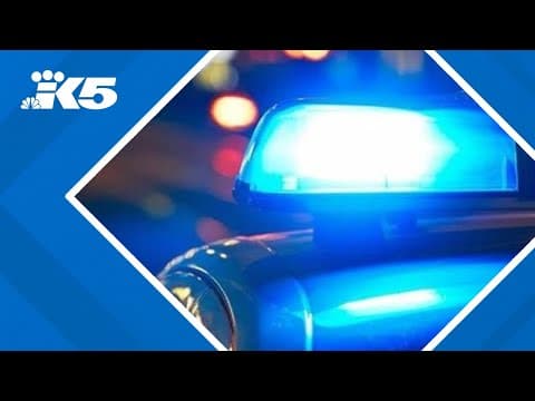 Suspect in custody for string of shootings in Seattle